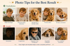 Personalized Baby & Labrador Books